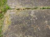 image of grave number 30397